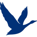 Grey Goose vodka